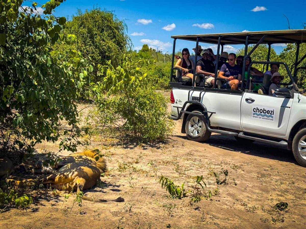 Kasane Airport transfer to Chobe National Park lodges in Botswana