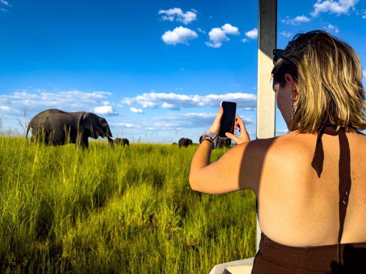 Zambezi sunset cruise with elephants on the river bank at Victoria Falls