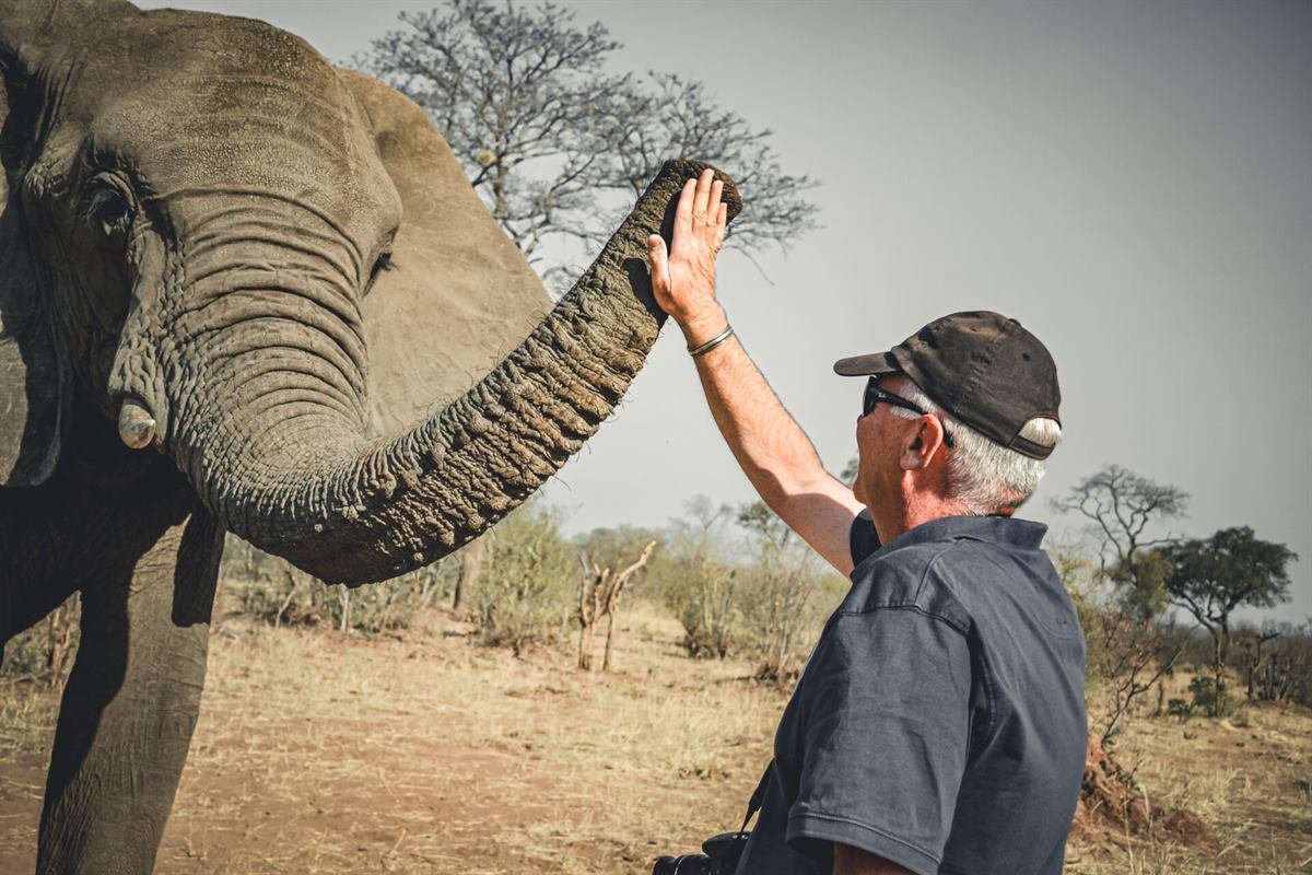 Elephant encounter near Victoria Falls