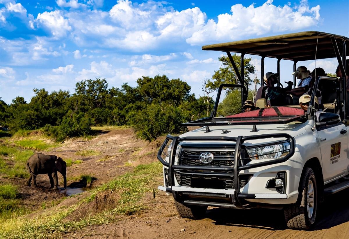 Open game drive vehicle in the Zambezi National Park