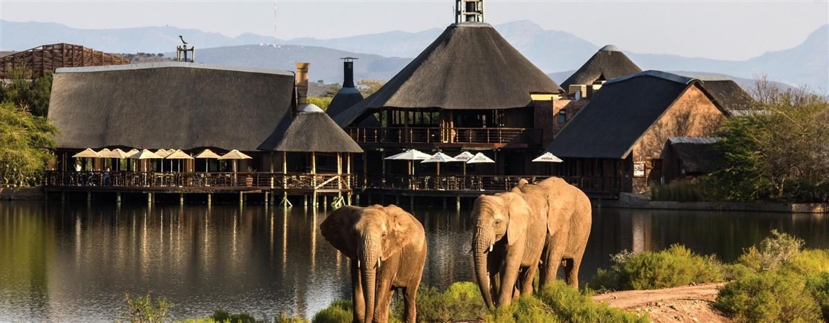 Thatched game lodge beside a waterhole with elephants in the Klein Karoo