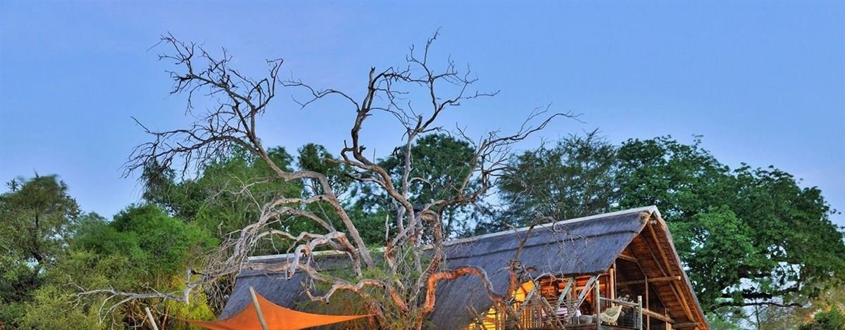 Safari tent among trees in the Kruger