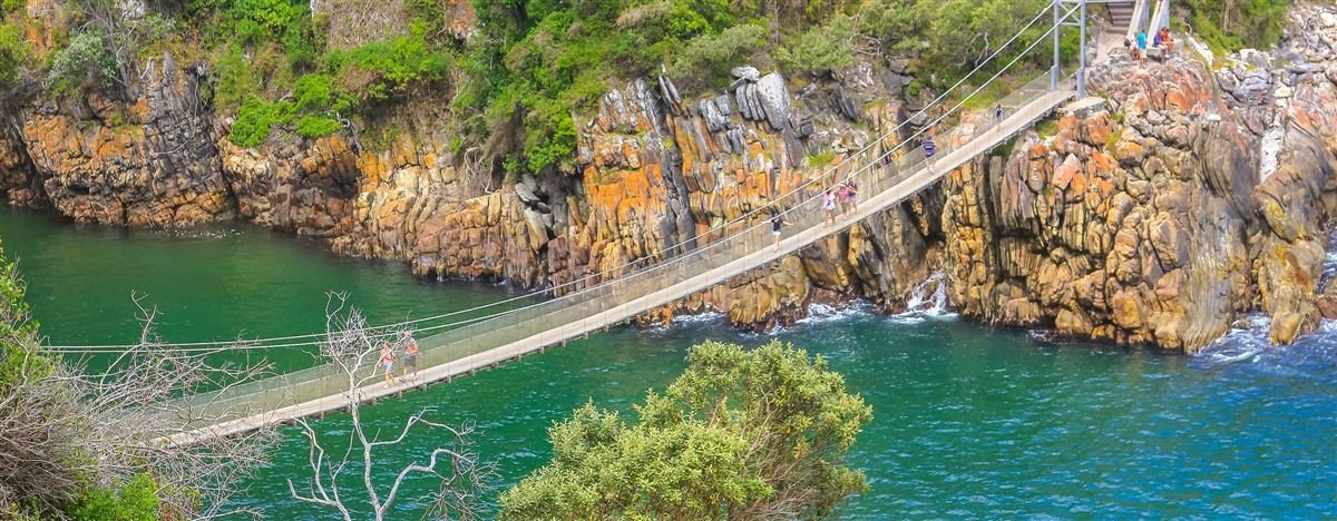 Suspension bridge over a river mouth in the Tsitsikamma forest