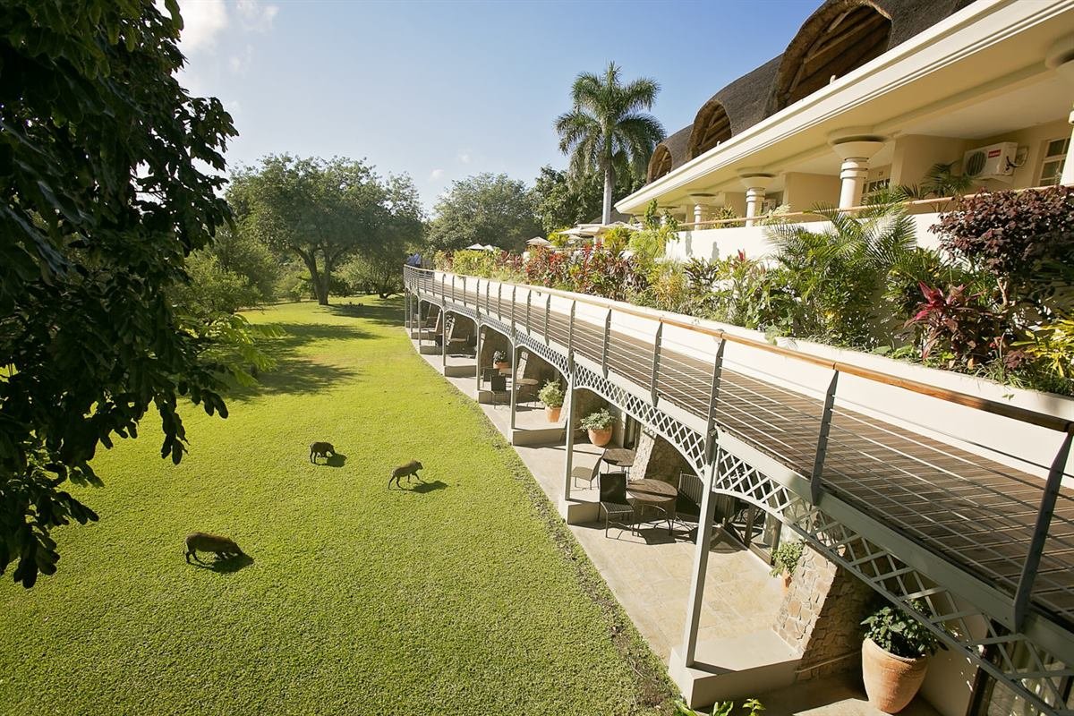 Ilala Lodge Hotel gardens and lawn in Victoria Falls