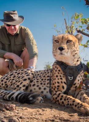 A guide sitting with a cheetah on a rock near Victoria Falls