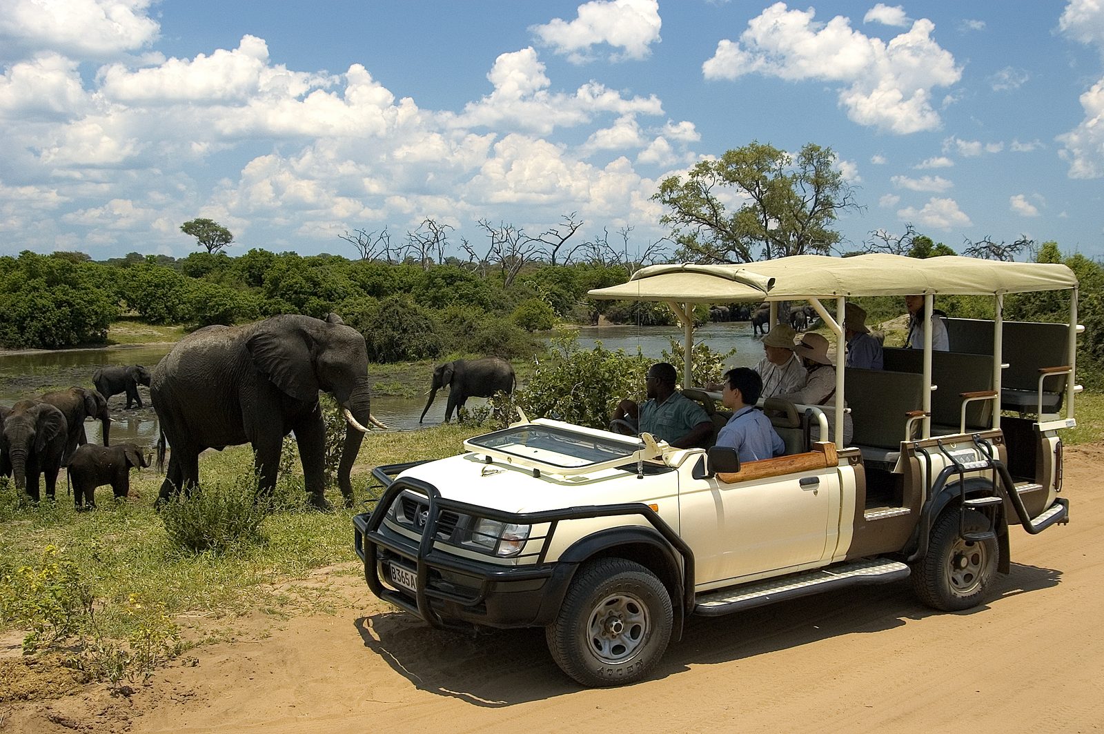 Game drive vehicle among elephants in Chobe National Park