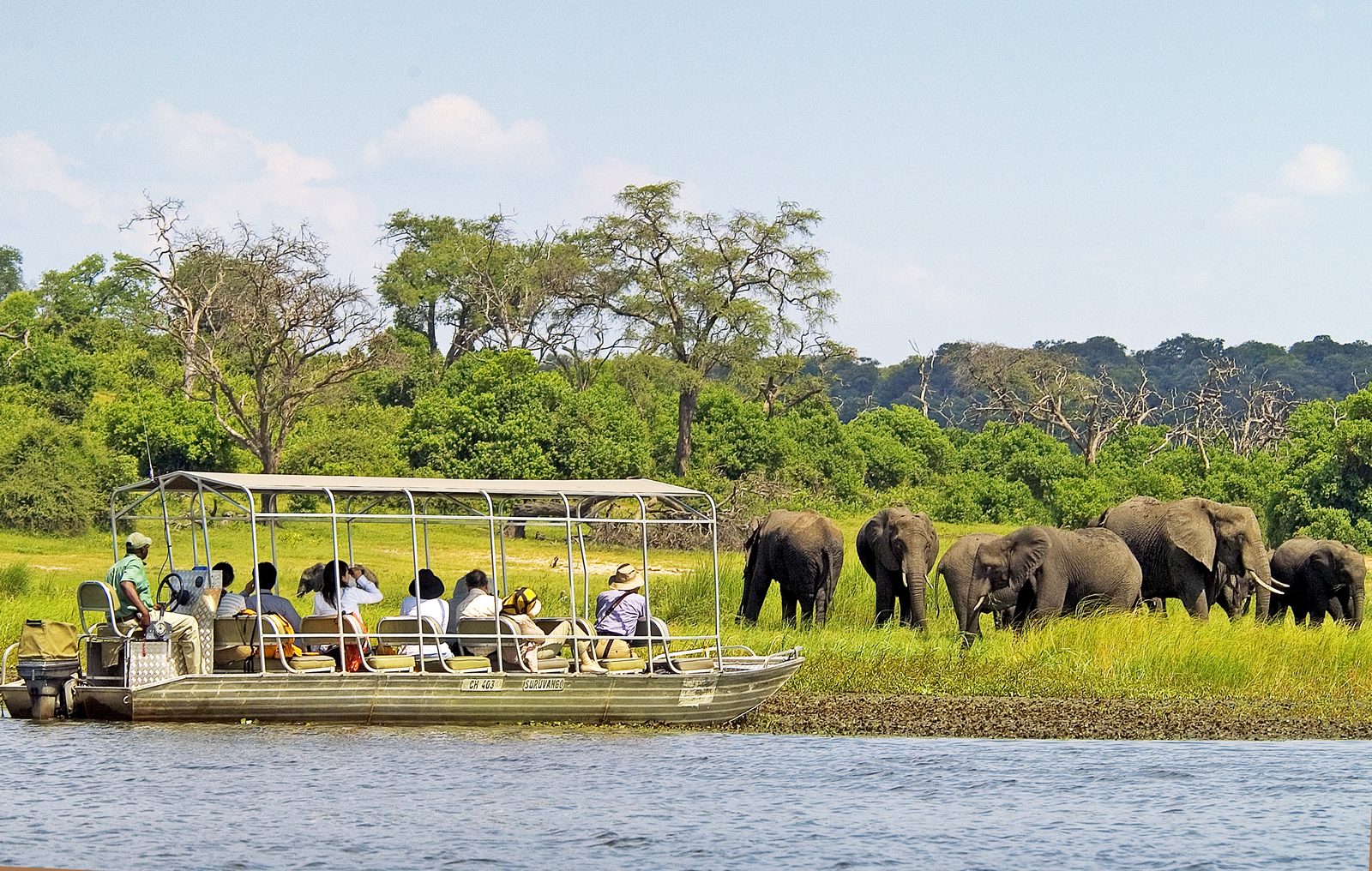 Guests on a Chobe River boat cruise watching elephants on the bank