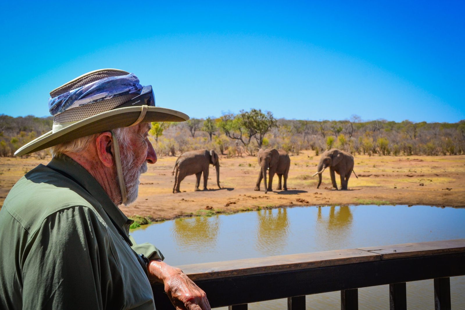 A guide watching elephants gather at a waterhole