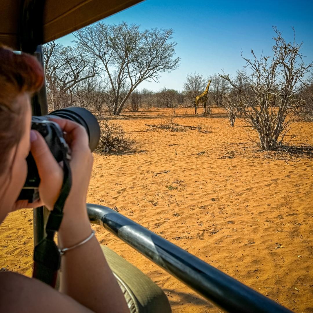 A guest photographing wildlife from the game drive vehicle