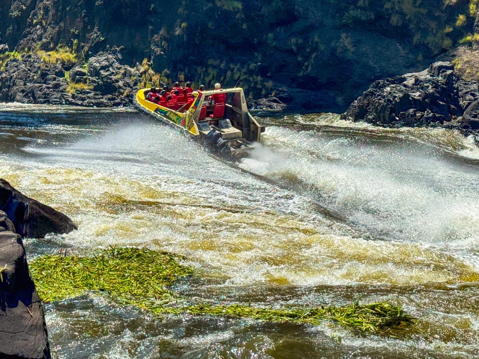 Jet boat running the green water of the Zambezi gorge