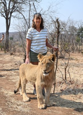 A visitor standing with a young lion in the bush near Victoria Falls