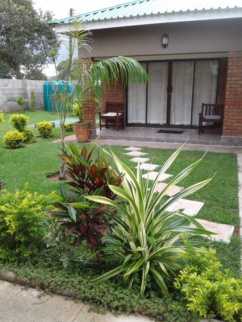 Curved swimming pool and palms at Dzimbahwe House, Victoria Falls