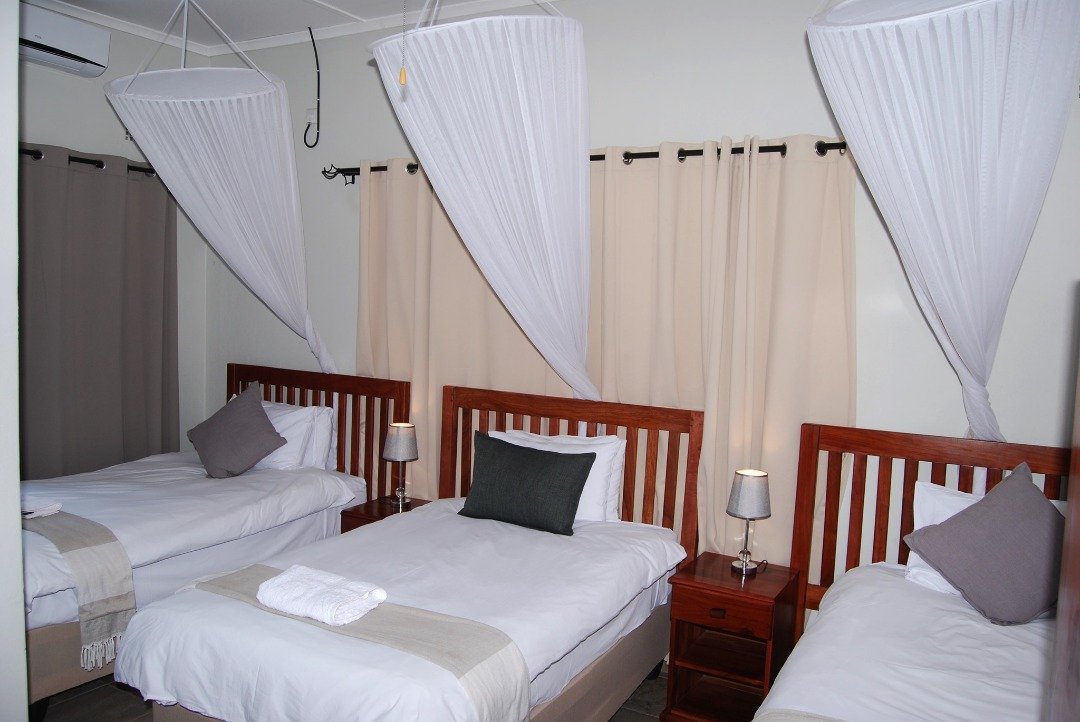 Twin beds with mosquito nets at Dzimbahwe House